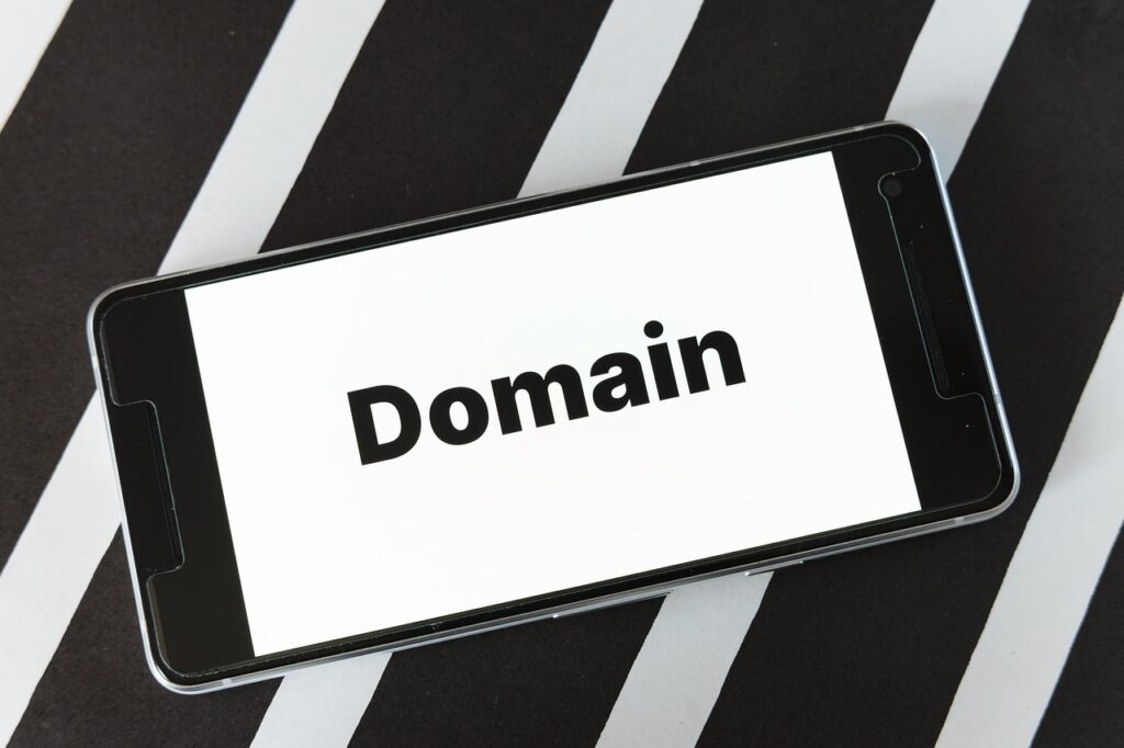 Buy Aged Domains for Niche Market Business Ideas